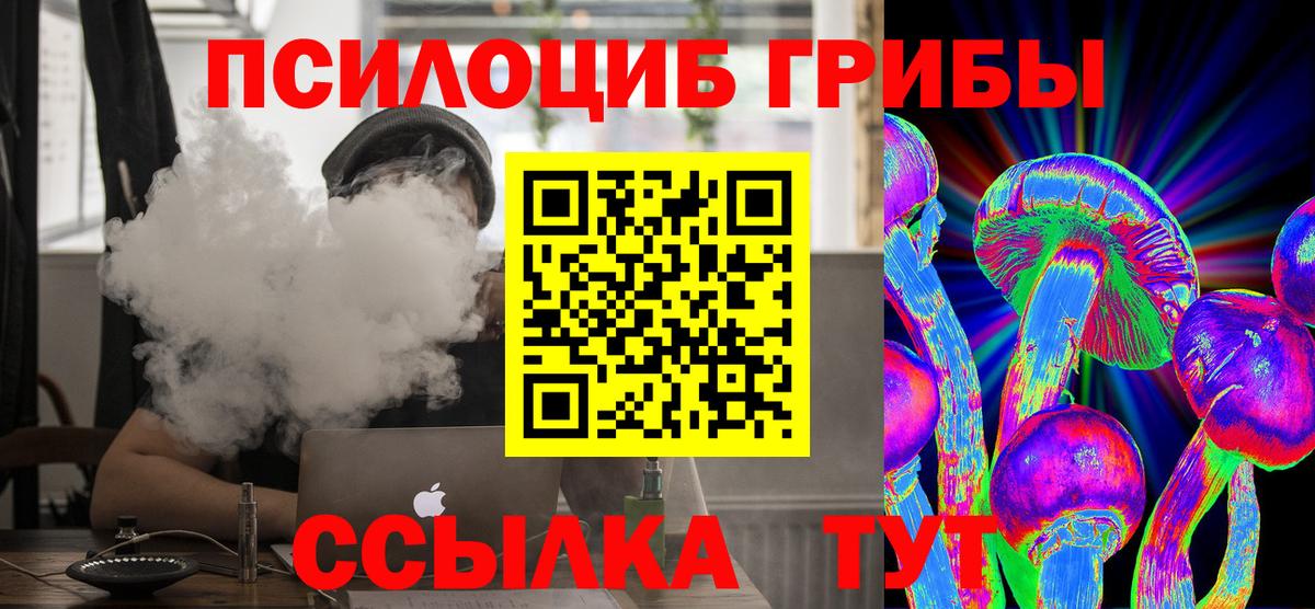 Псилоцибиновые грибы GOLDEN TEACHER  Псилоцибиновые грибы Psilocybine cubensis  Кыштым  Вход с VPN 